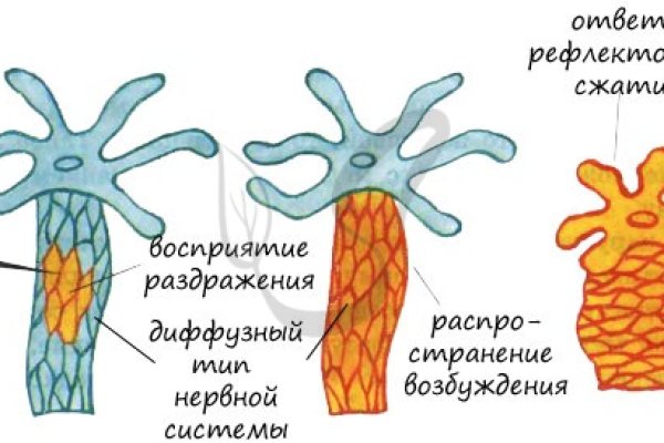 Кракен как проверить зеркало