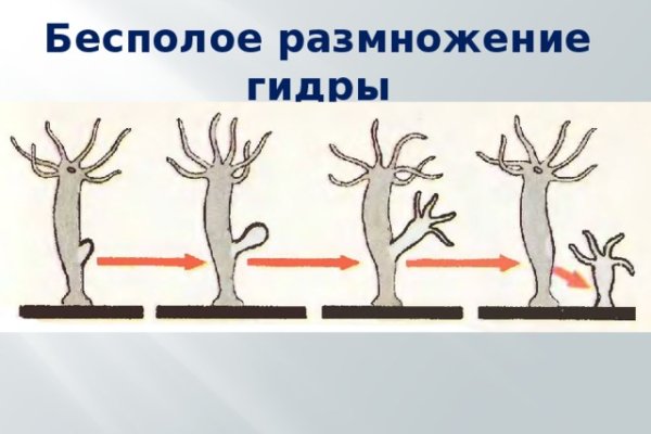 Кракен даркнет купить