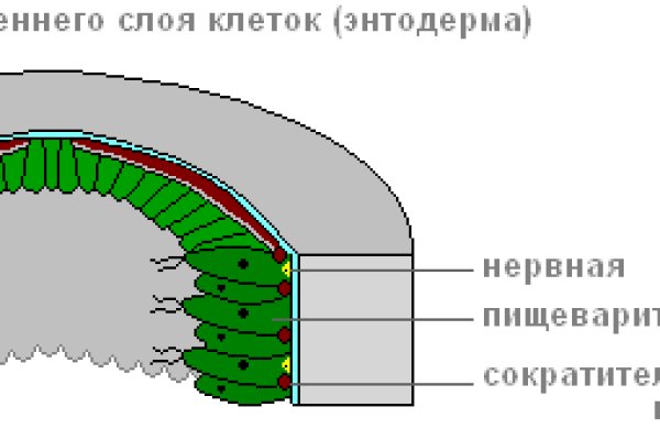 Kra34cc